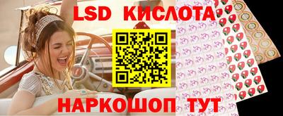 дмт Бийск