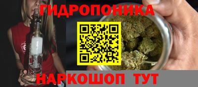 дмт Бийск